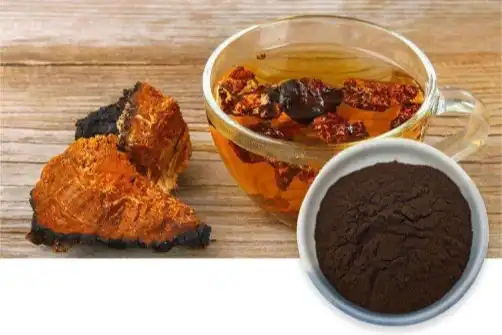 High Polysaccharide Chaga Extract For Daily Immunity Support